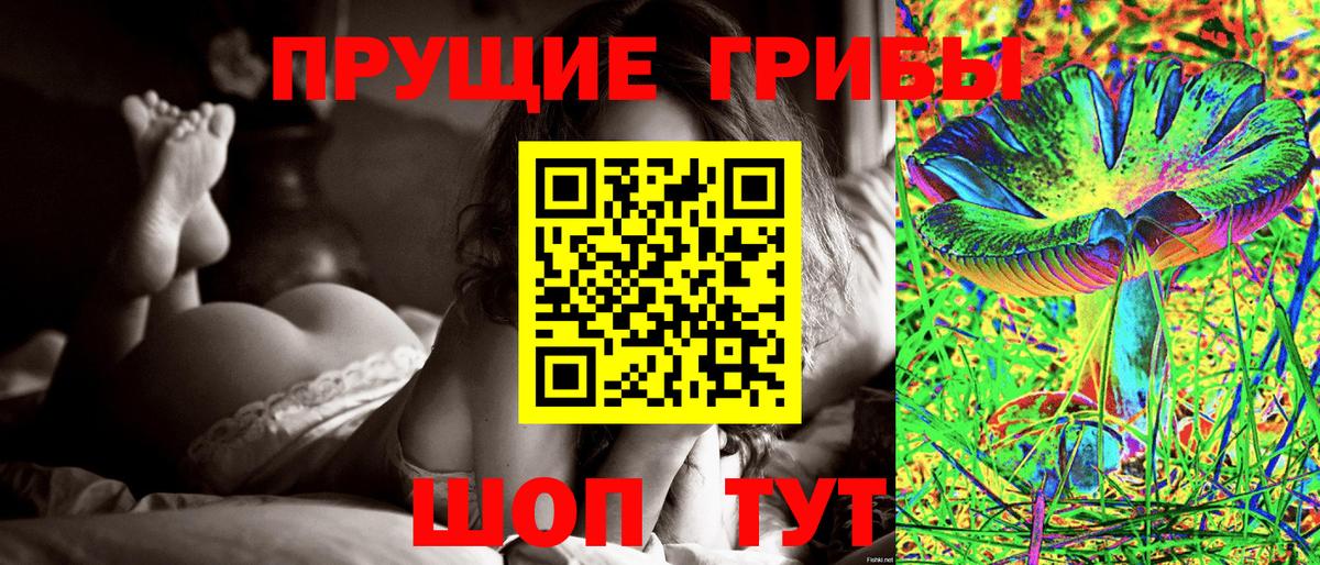 Галлюциногенные грибы прущие грибы  Вход с VPN  Моздок 
